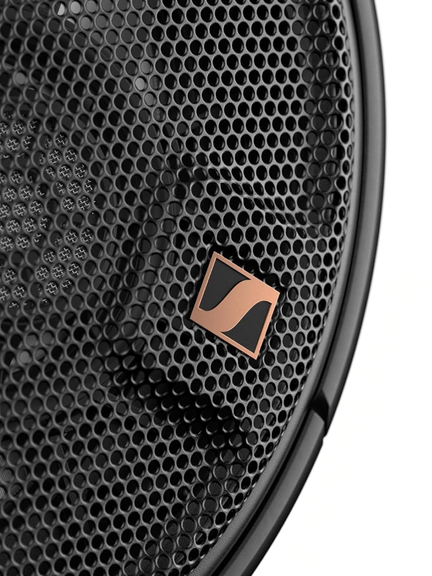 Major IV On Ear Wireless Bluetooth Headphone with Microphone (Black, True Wireless)