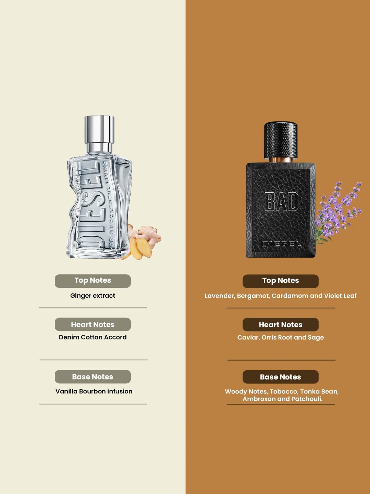 DIESEL For Successful Living & Bad Eau de Toilette Combo
