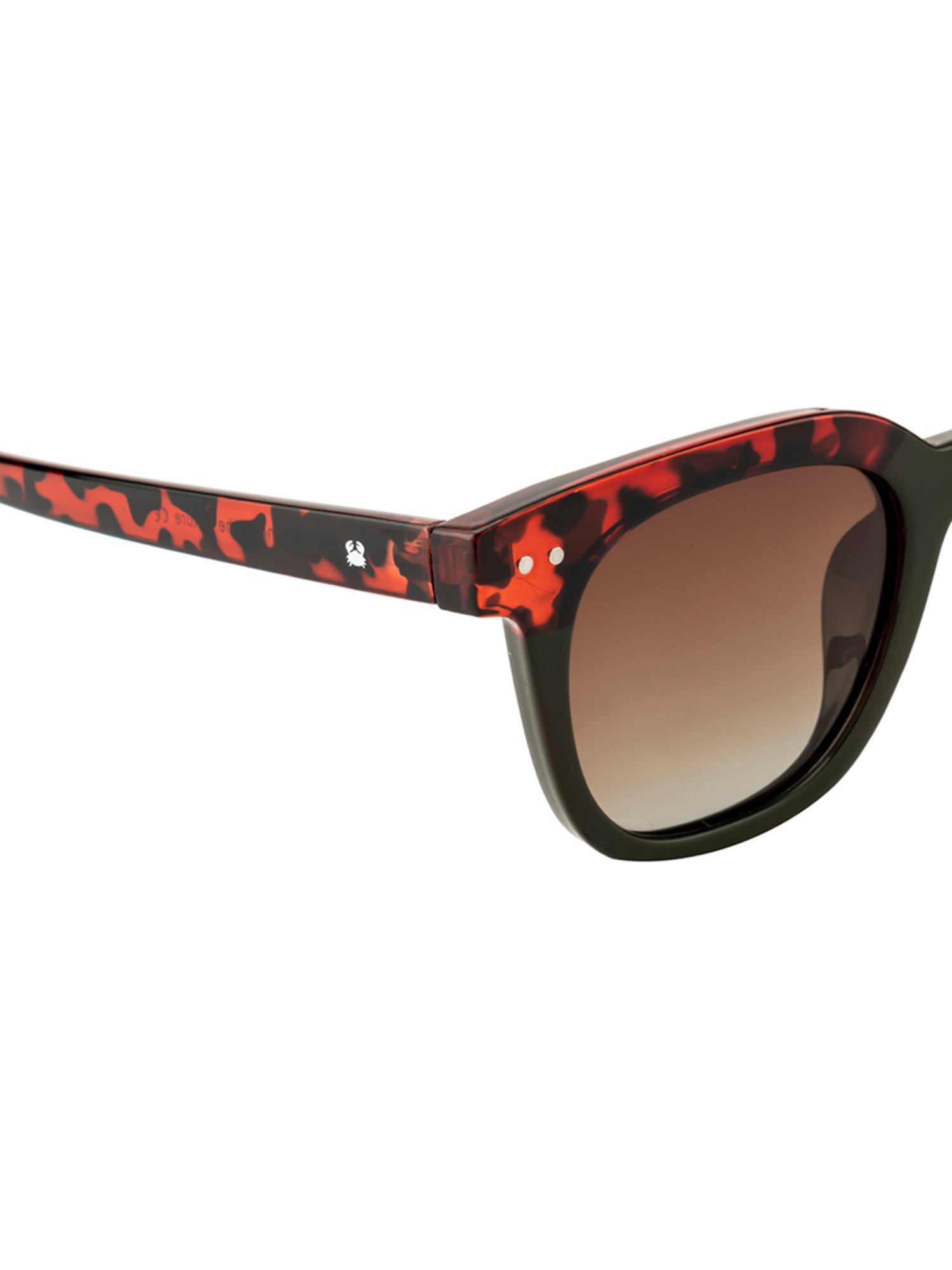 Oceanides Green Wayfarer Unisex Sunglasses