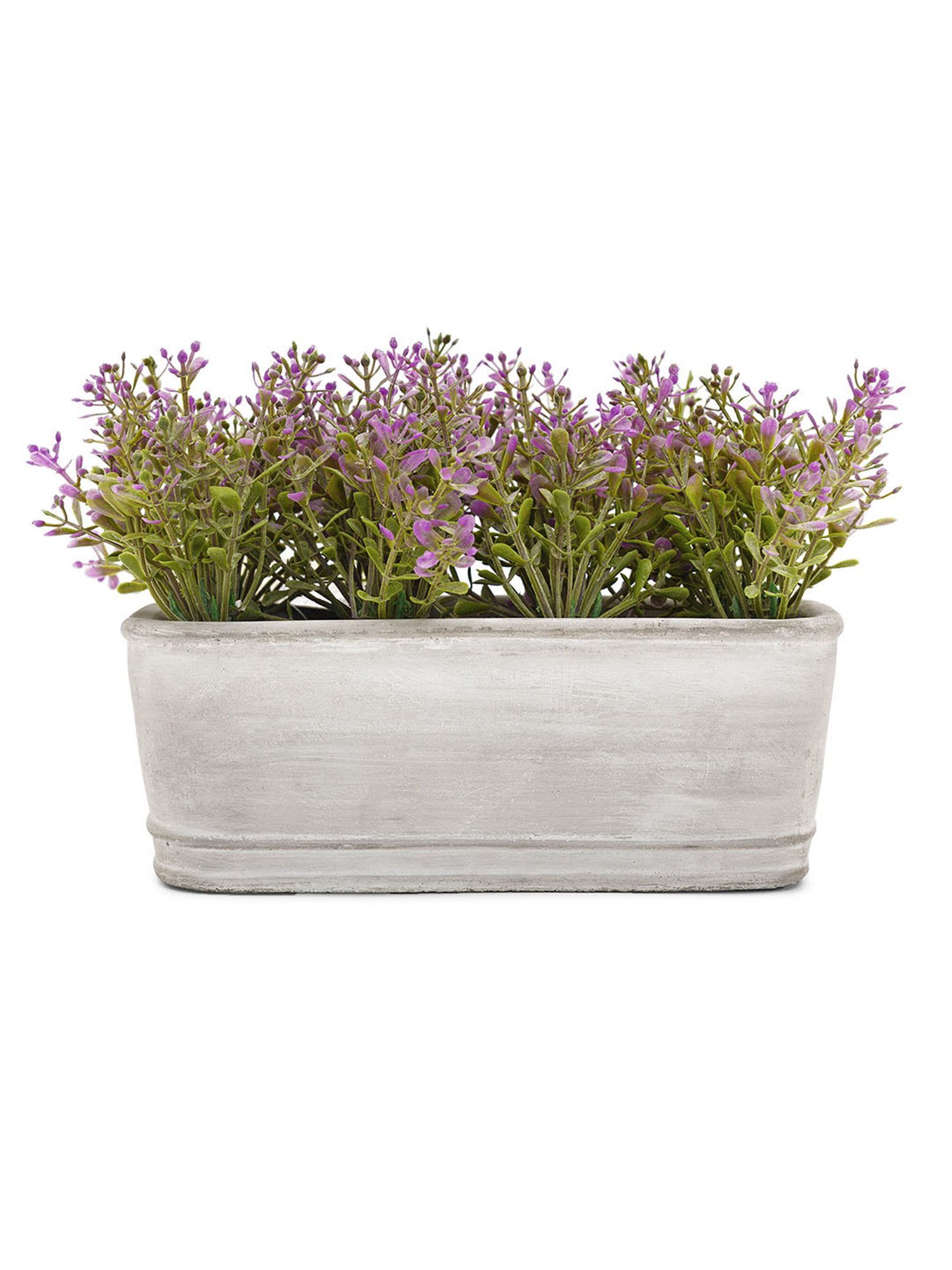 Pure Home and Living Purple Plastic Potted Plants