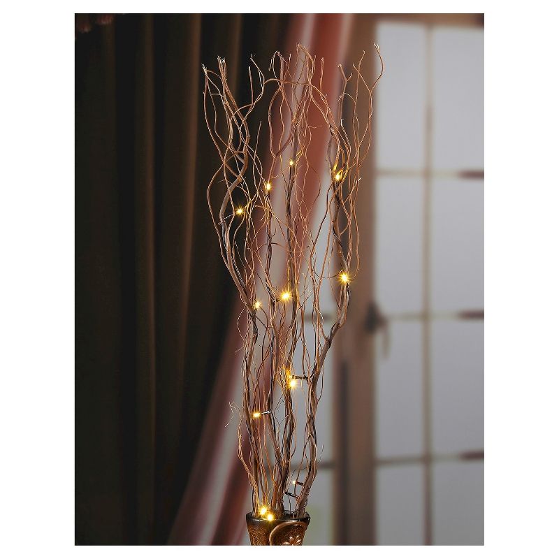 Lightshare 36" 16 LED Natural Twig Branch Light for Home Decoration, Battery Powered - Warm White Lights