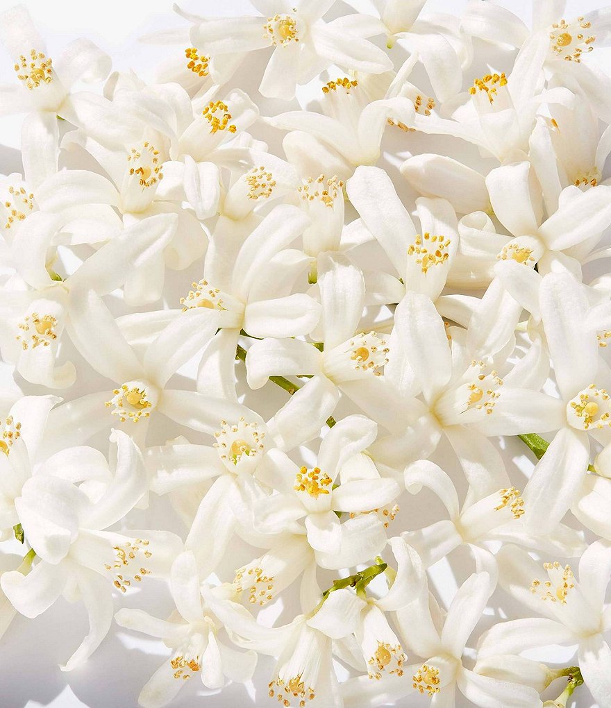 Clinique My Happy&trade; Baby Bouquet