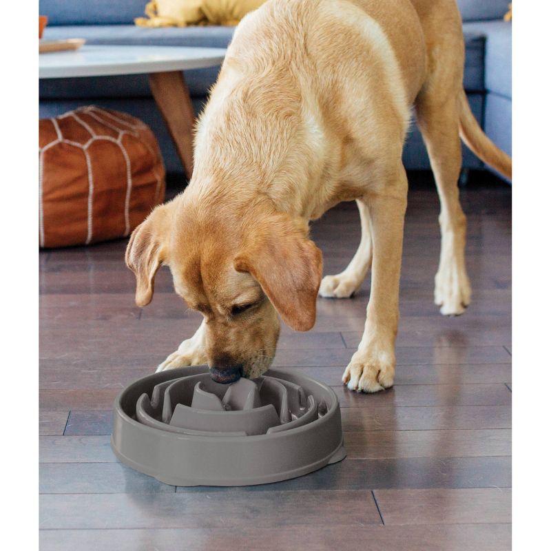 Outward Hound Fun Feeder Slo-Bowl For Dogs - L - Gray