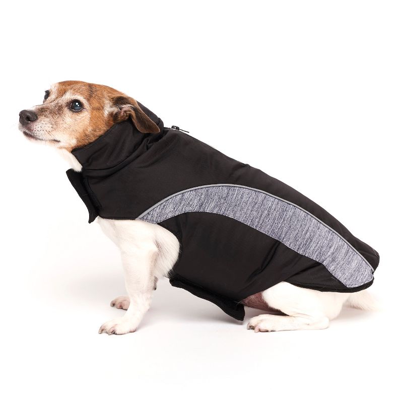 Royal Animals Spacedye Dog and Cat Jacket - Gray - XS