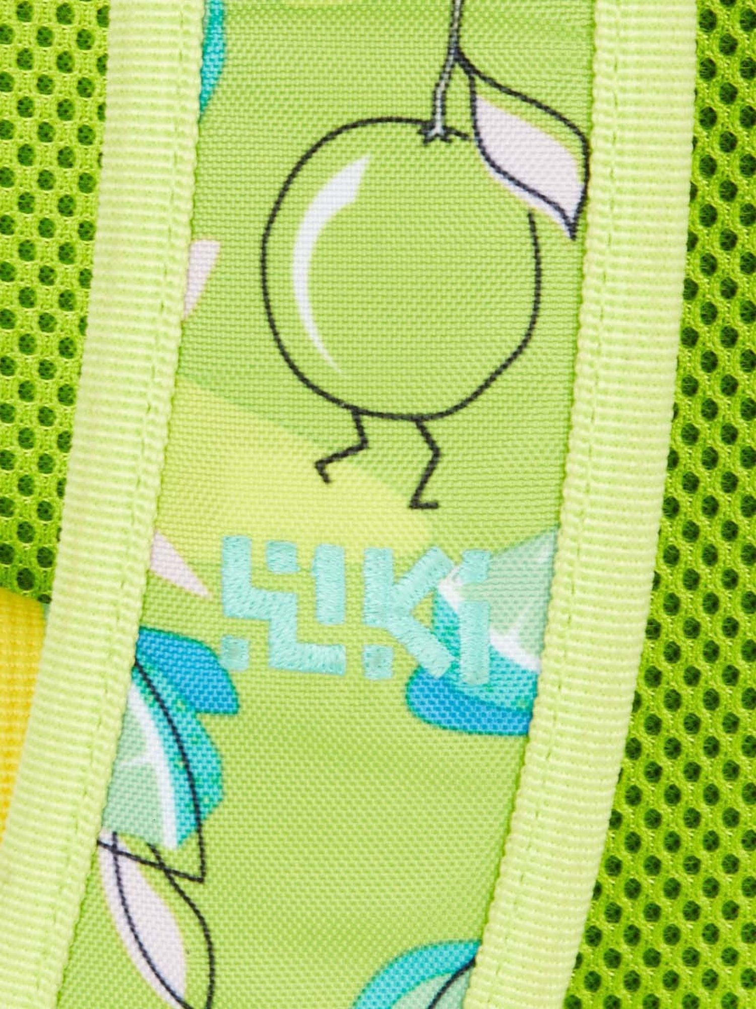 Wiki 21.5 Ltrs Green Medium Backpack