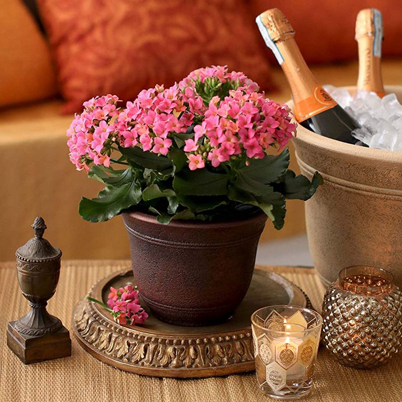 HC Companies SRA10001P02 Sierra 10 Inch Self Watering Round Weather Resistant Plastic Resin Flower Garden Planter Pot Container, Celtic Bronze