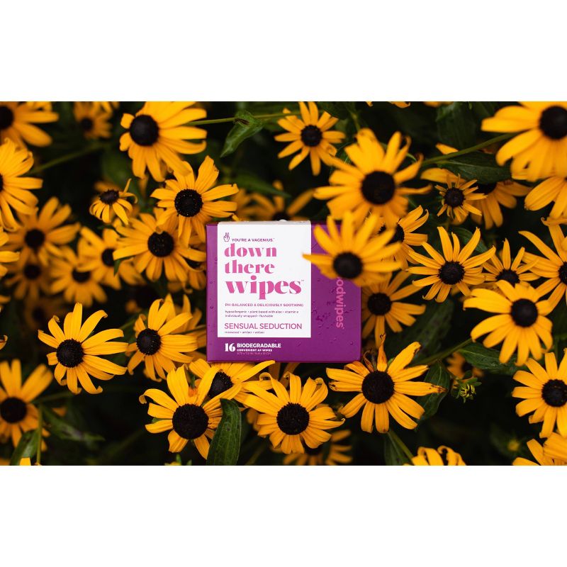 GoodWipes Sensual Seduction Flushable Down There Wipes - 16ct