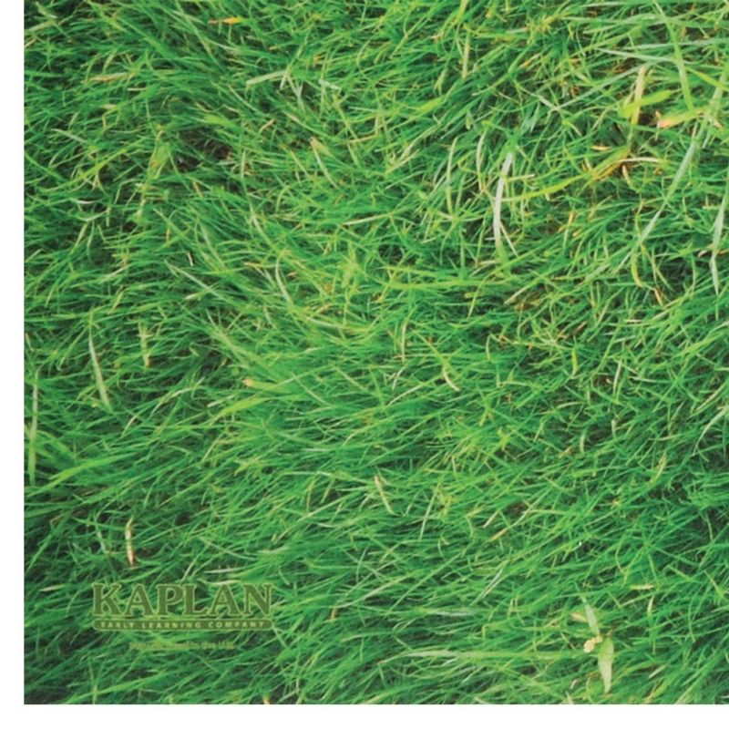 Kaplan Early Learning STEM Play Mat - Grass