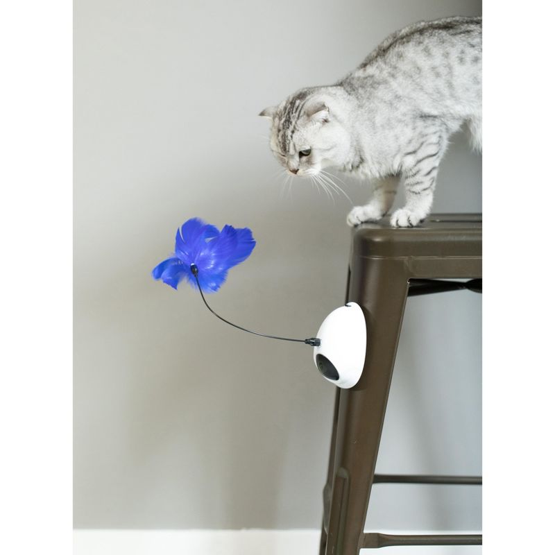 PawsMark Interactive 2-in-1 Spring Feather and Red Light Chaser Cat Toy