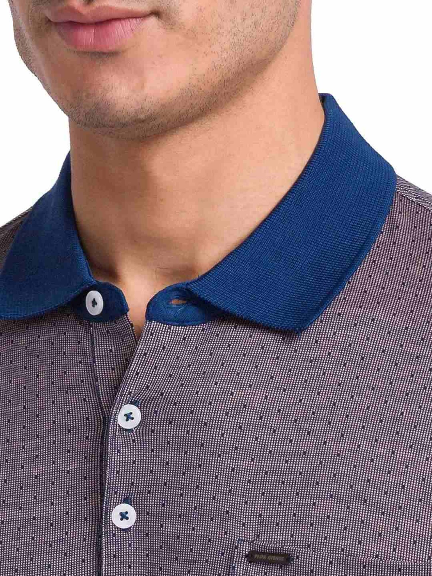 Park Avenue Red & Blue Cotton Slim Fit Self Pattern Polo T-Shirt