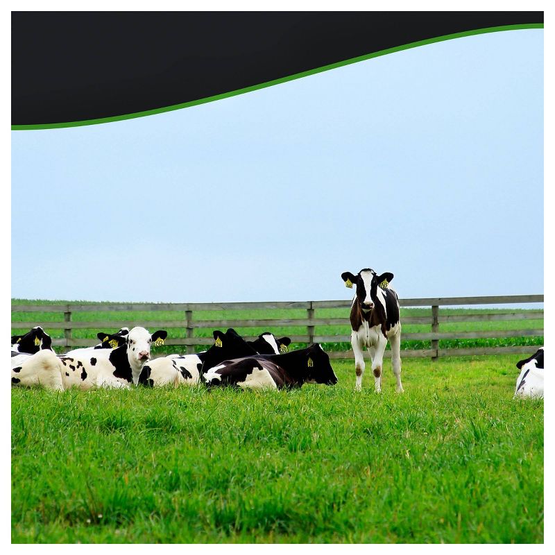 Breyers Original Chocolate Ice Cream - 48oz