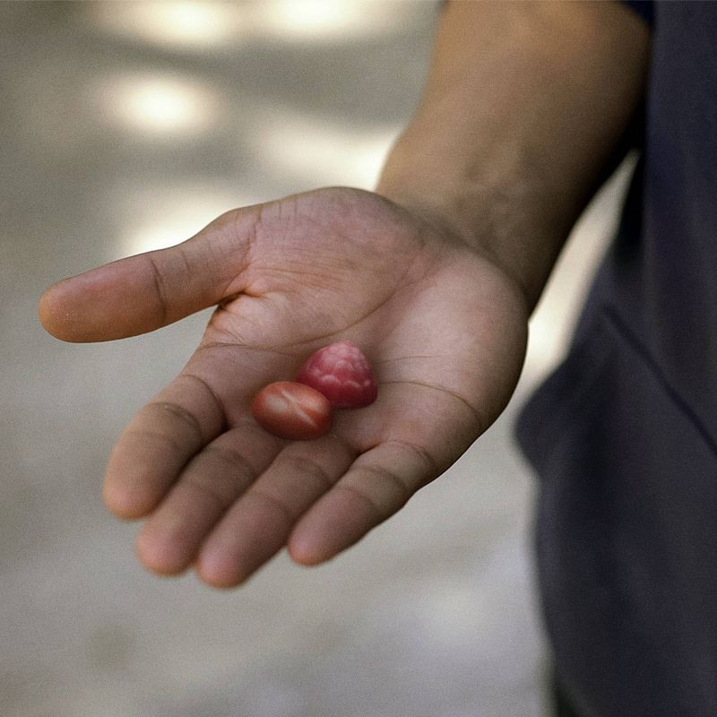 Centrum Multi Gummies for Men - 170ct