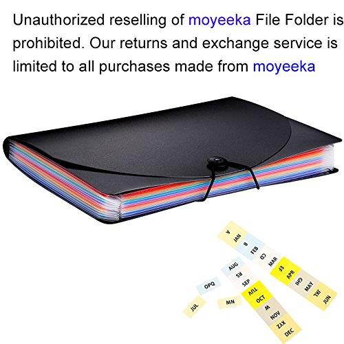 A4 Expanding File Folders with 13 Pockets lid, Letter Size Portable Accordion Expandable File Organizer, Flap and Cord Closure, Briefcase Business