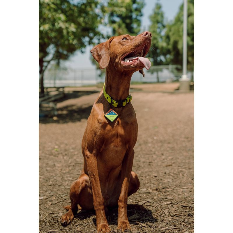 QALO Dog and Cat Tile Enabled Traq - Pink