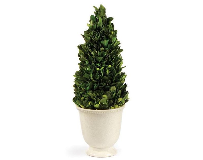 Napa Home & Garden 1.3' Unlit Green and White Artificial Preserved Boxwood Evergreen Cone Topiary
