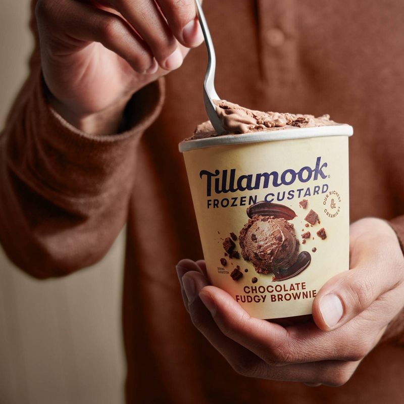 Tillamook Chocolate Fudgy Brownie Frozen Custard - 15oz