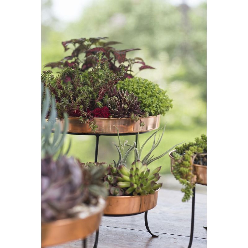 Small Round Copper Plant Tray, 10 - GARDENER'S SUPPLY CO.