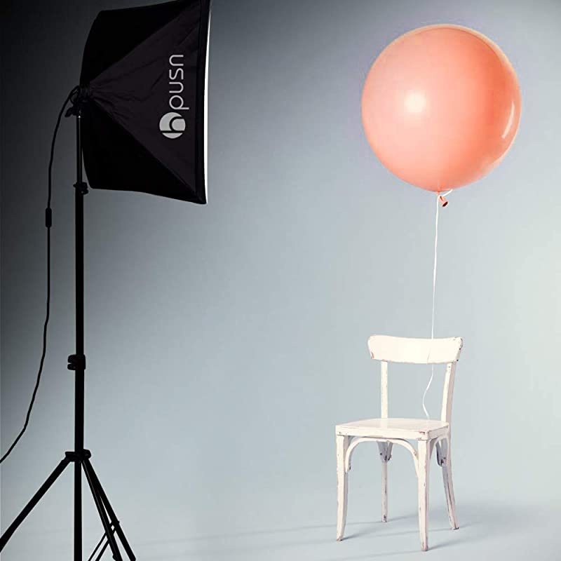 Softbox Lighting Kit Photography Studio Light with 20-inch X 28-inch Reflector and 2pcs 85W 5500K E27 Bulb, Professional Photo Studio Equipment for Portrait Fashion Photography Video, etc.