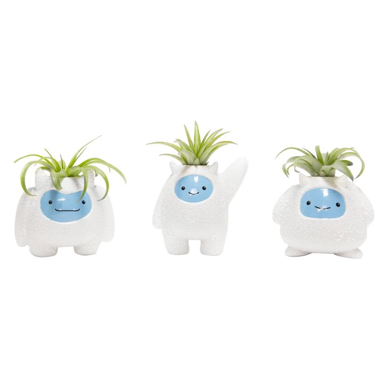 Van Zyverden Roses Mikado Root Stock