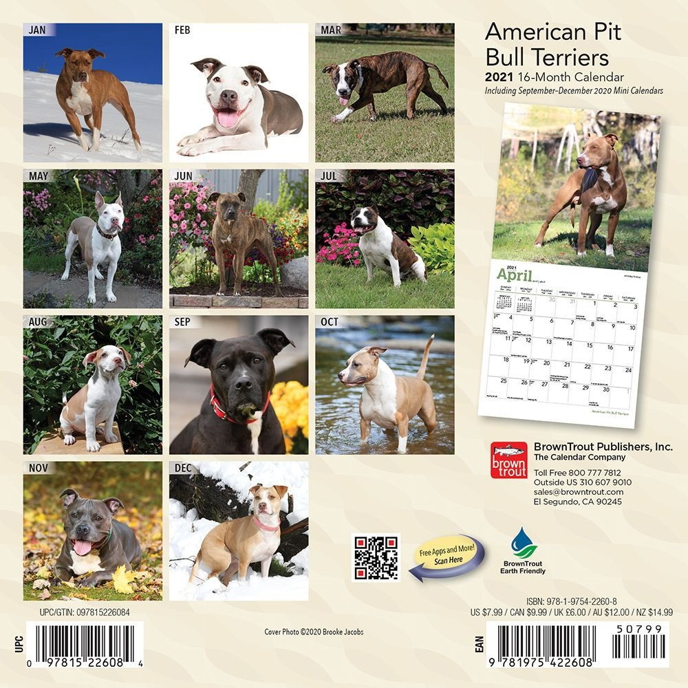 BrownTrout,  American Pit Bull Terriers Mini Wall Calendar 2021