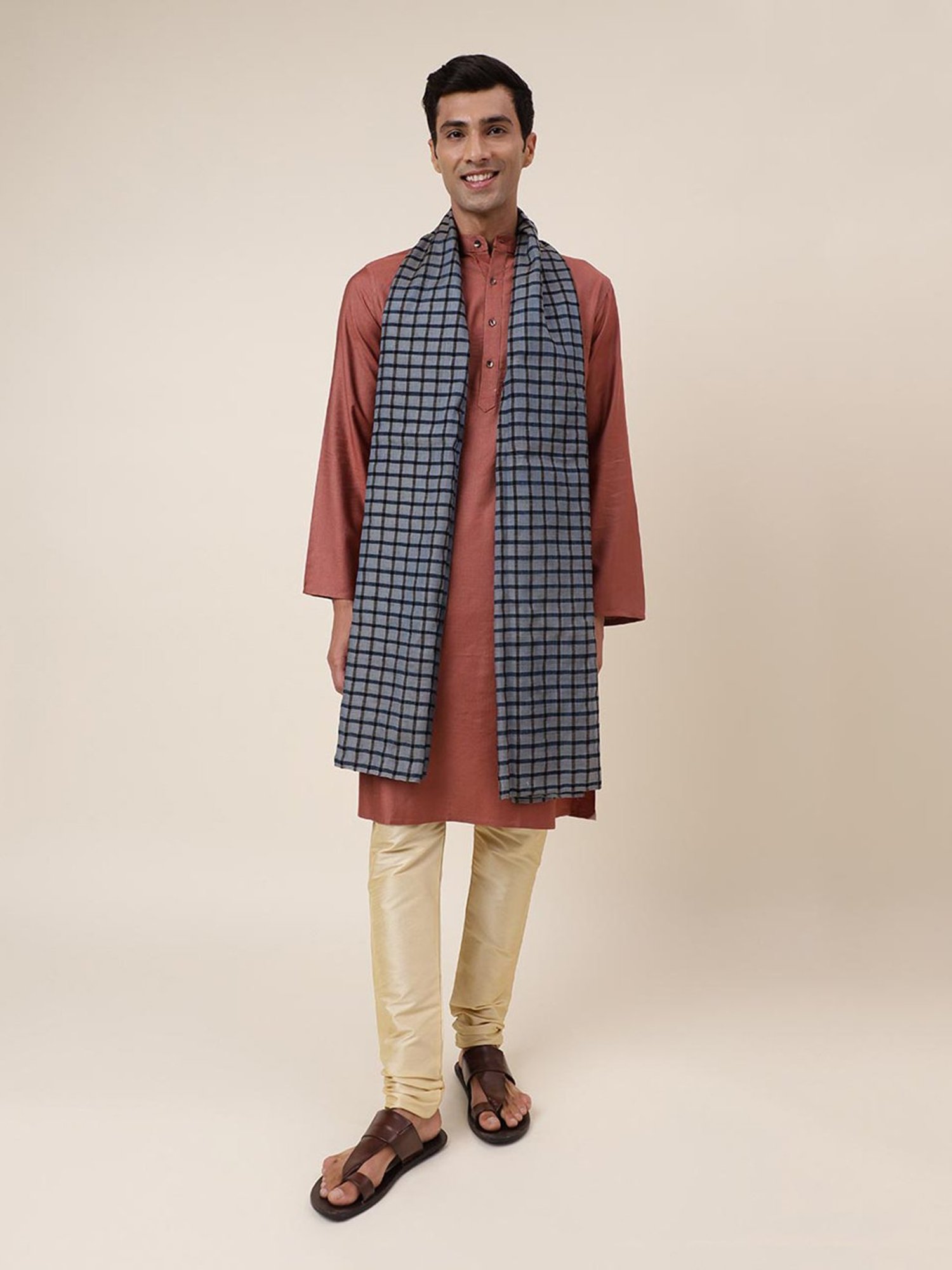 Fabindia Multicolor Check Stole