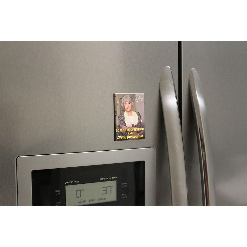 Ata Boy The Golden Girls Dorothy Pray For Brains 2.5 x 3.5 Inch Magnet