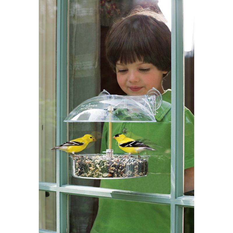 Droll Yankees Classic Winner Window Bird Feeder - White
