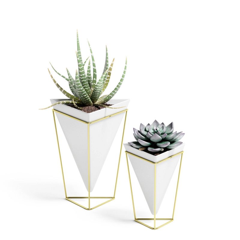Set of 2 Trigg Tabletop Vessels White/Brass - Umbra