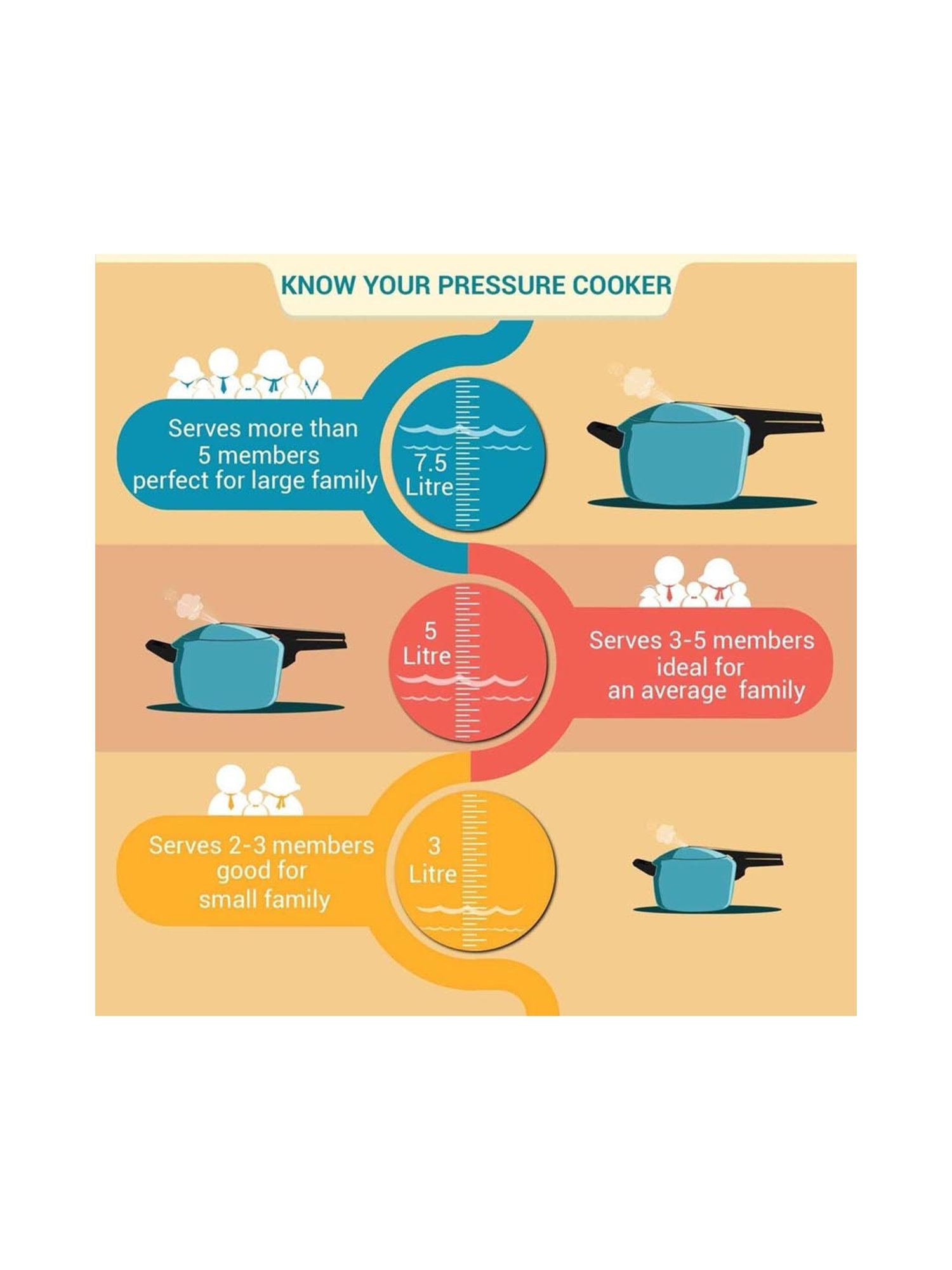 Pigeon Silver Stainless steel Pressure Cooker (10 L)