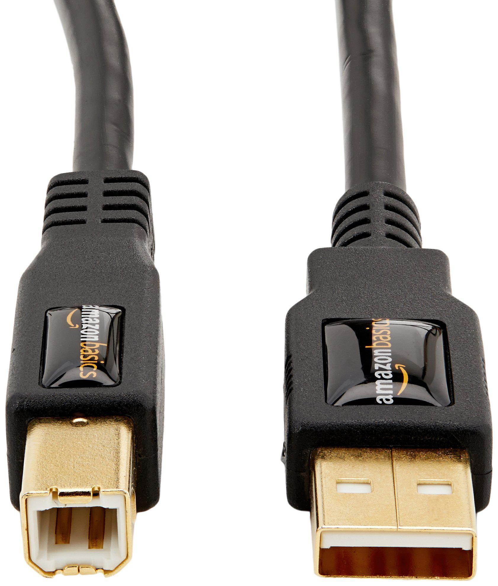 Basics USB 2.0 Cable - A-Male to B-Male - 16 Feet (4.8 Meters)