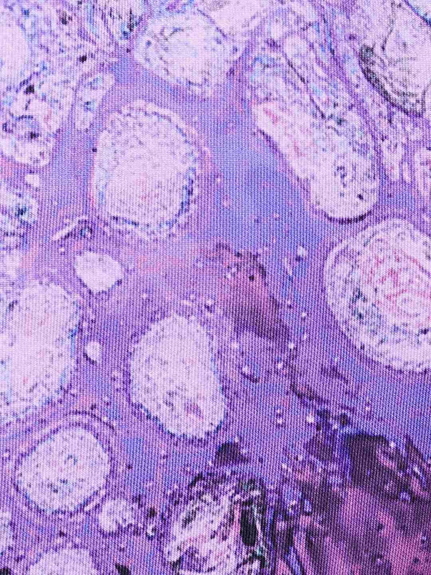 KAPPA Purple Regular Fit Printed Shorts