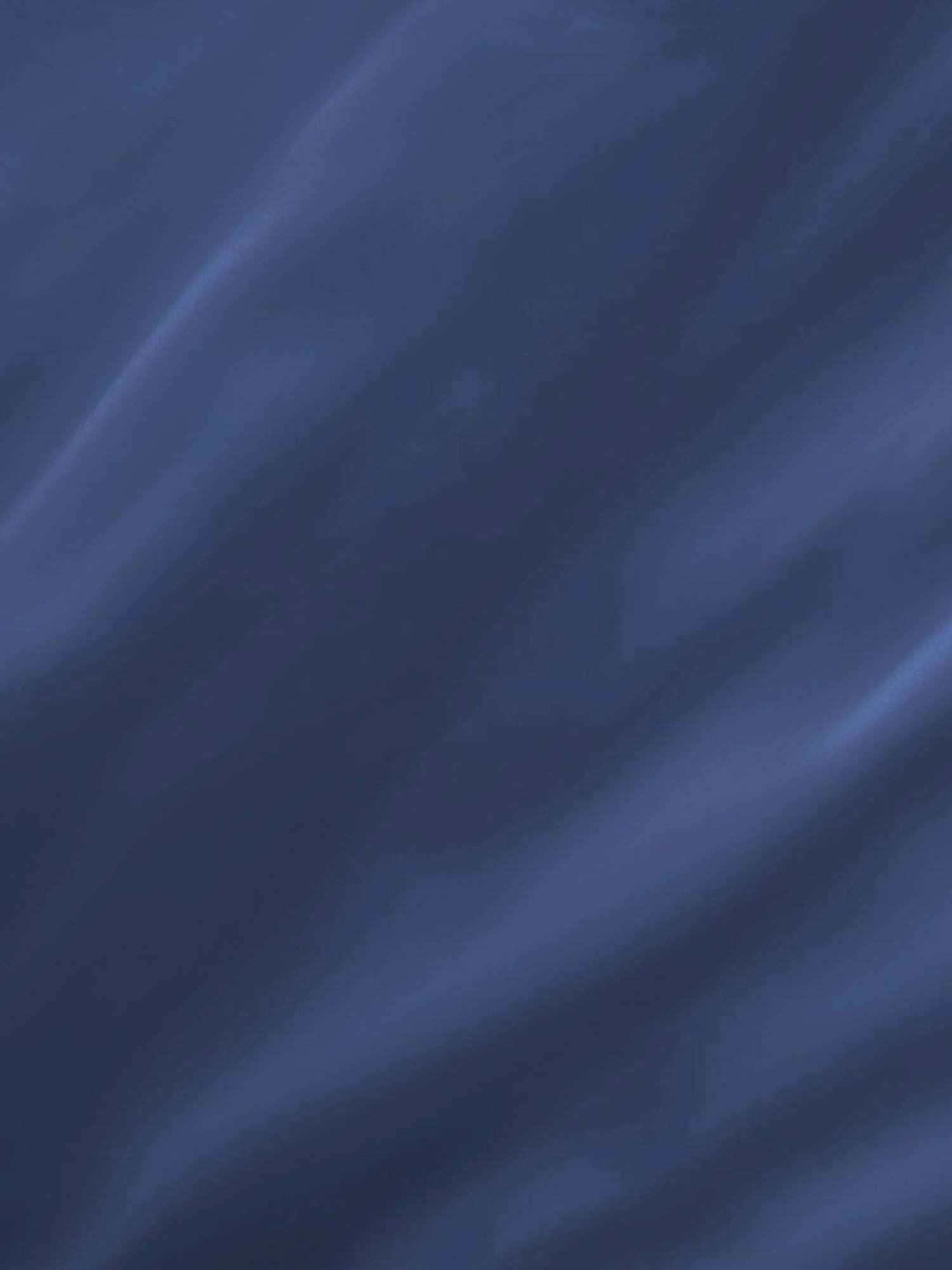 Boutique Living Kalpavriksha Navy Bamboo Cotton 300 TC King Size Bed Sheet with Pillow Cover