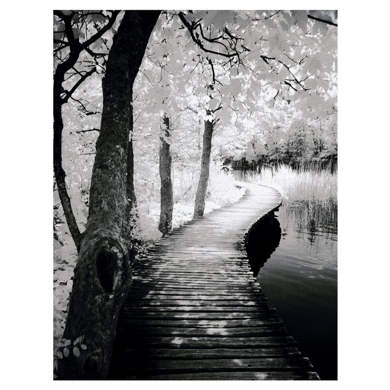 24"x36" Take A Walk By Ilona Wellman Art On Canvas Black - Fine Art Canvas