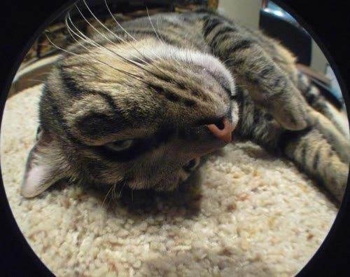 Opteka .35x HD2 Super Wide Angle Panoramic Macro Fisheye Lens for Fuji FinePix S7000 S602 6900