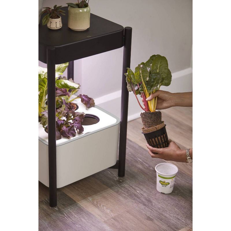 Miracle-Gro Twelve Transplanting Kit