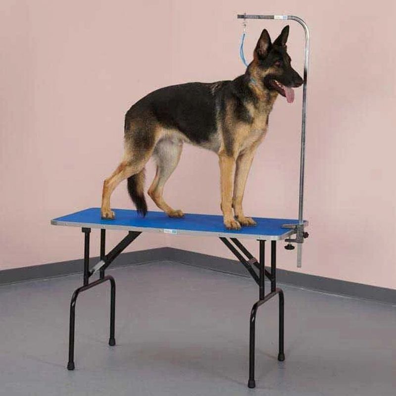 Master Equipment  TP215 36 19 Foldable Portable Metal Dog Cat Pet Grooming Table with Adjustable Height Leash Arm, Blue