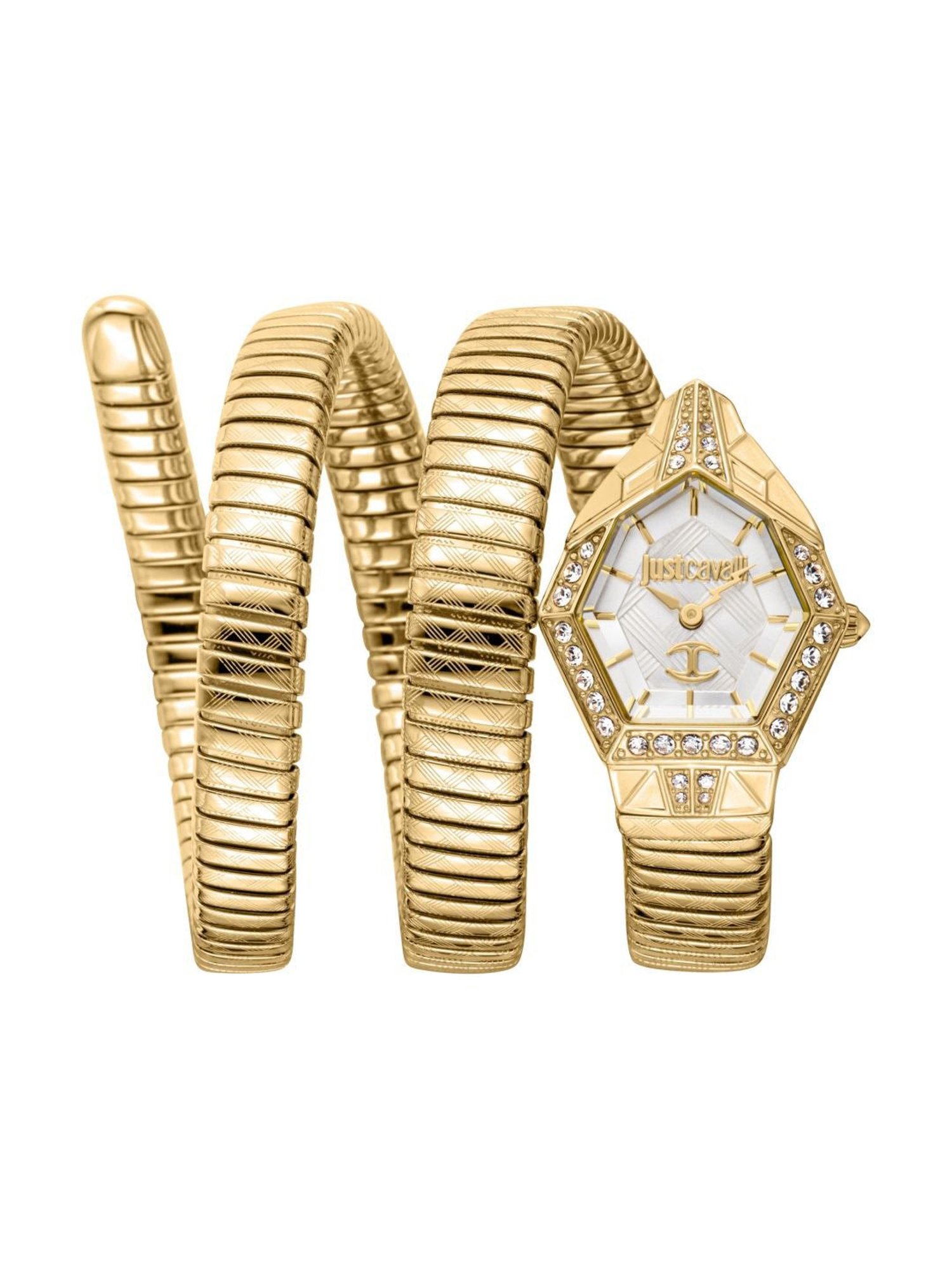 Just Cavalli JC1L304M0025 Mesmerizing Analog Watch for Women