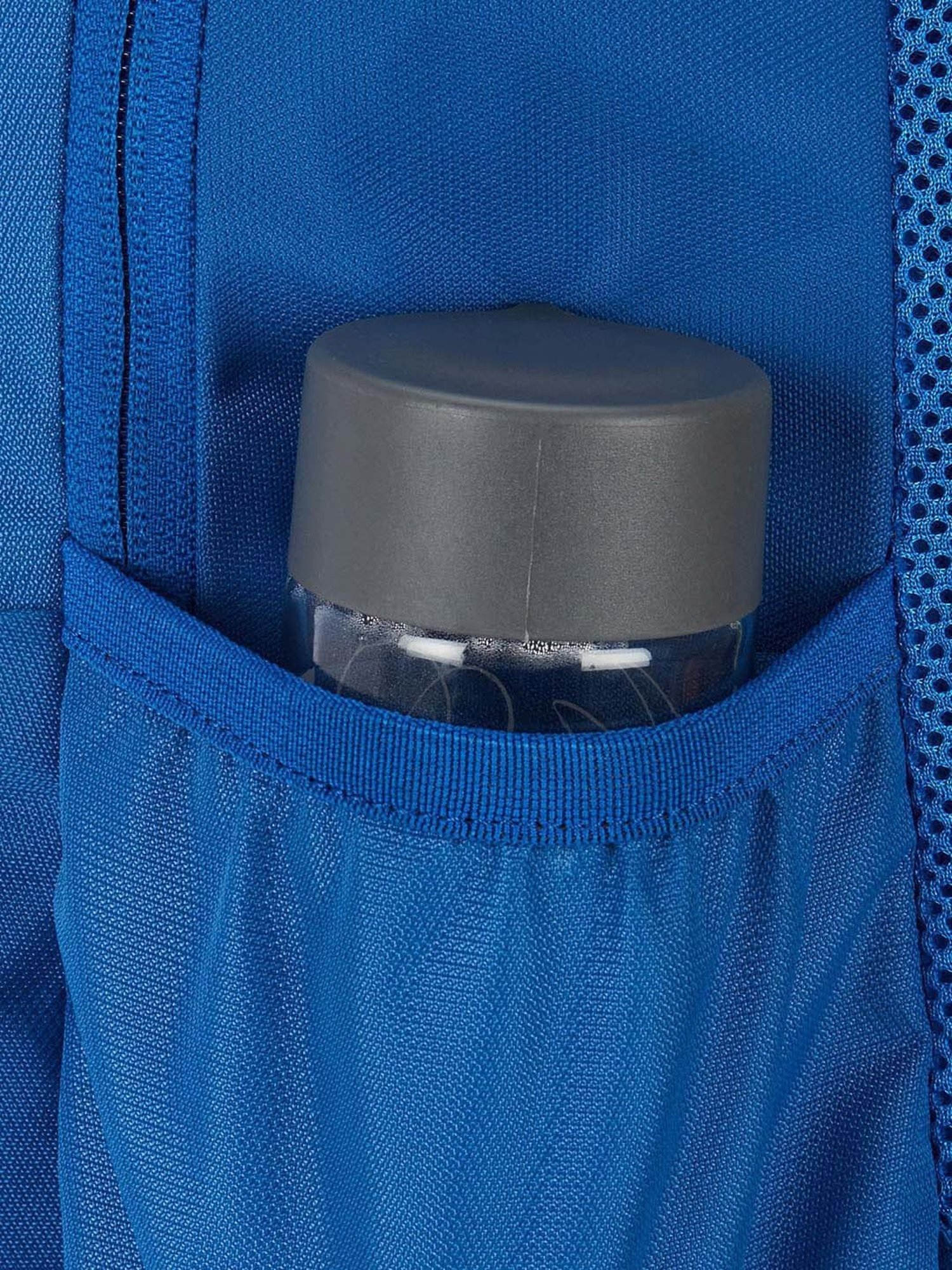 Wiki 20 Ltrs Blue Medium Backpack