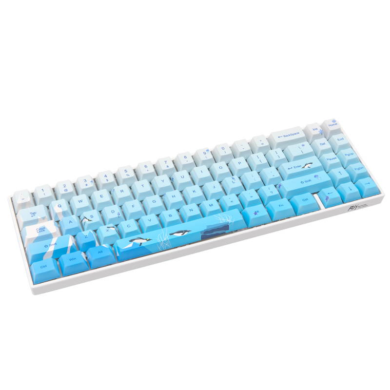 RK71 Mechanical Keyboard RGB Backlit 71 Keys Small Compact Gaming Keyboard, PBT Keycaps Wired/Wireless Bluetooth Mini Keyboard for iOS Android Windows PC and MacOS, Blue Switch( Cherry Blossom)