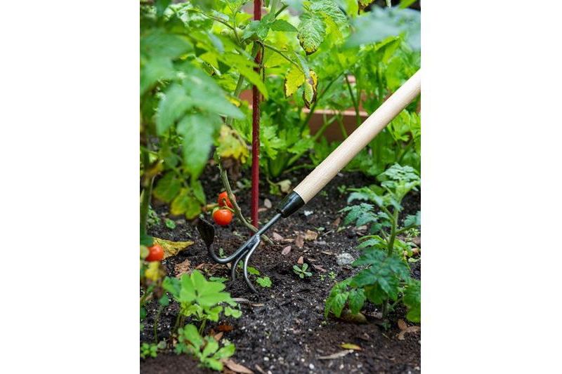 Gardeners Lifetime Long-Handled Double Tool - De Wit