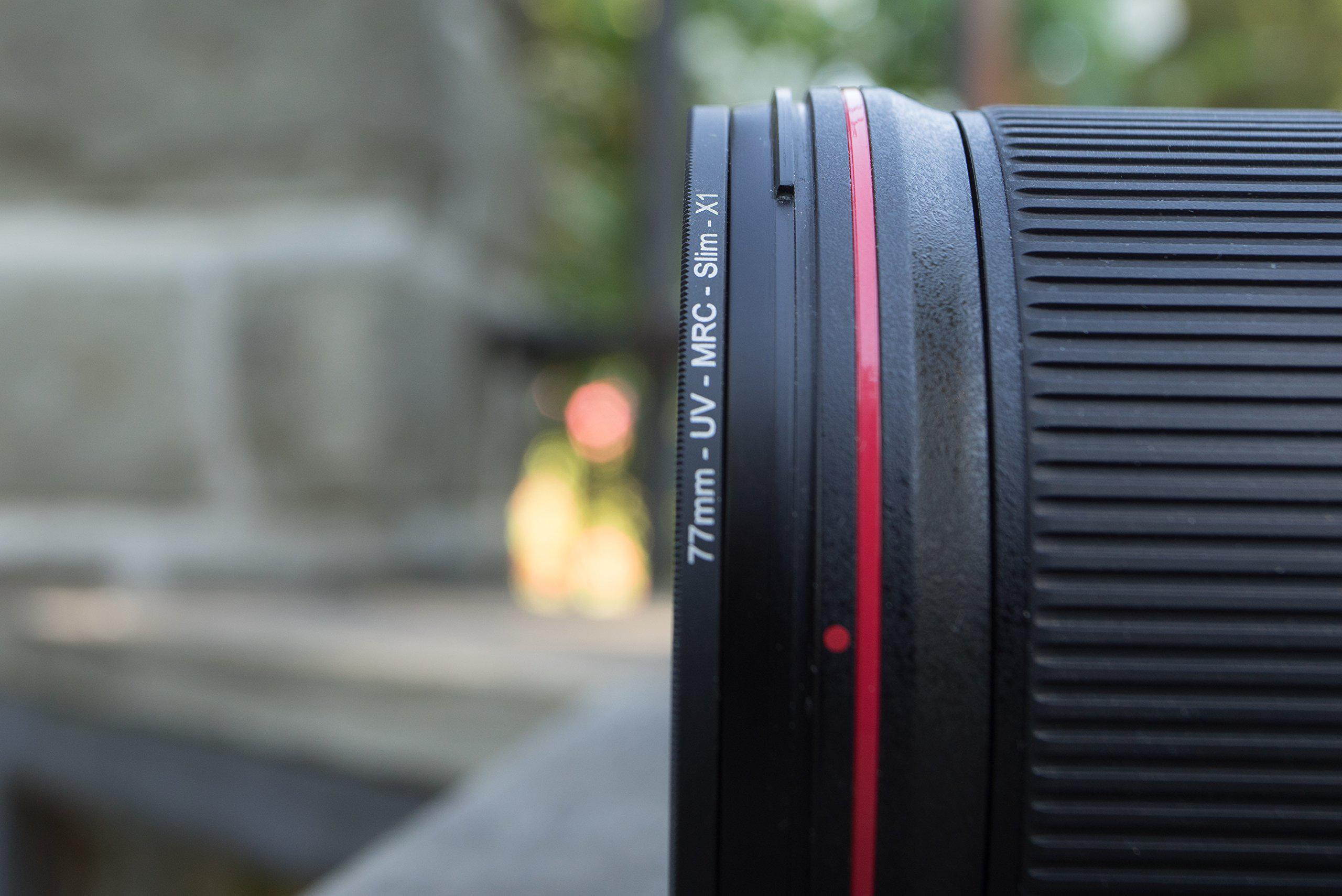 Clapper Hollow HC102 Weimaraner Framed Print