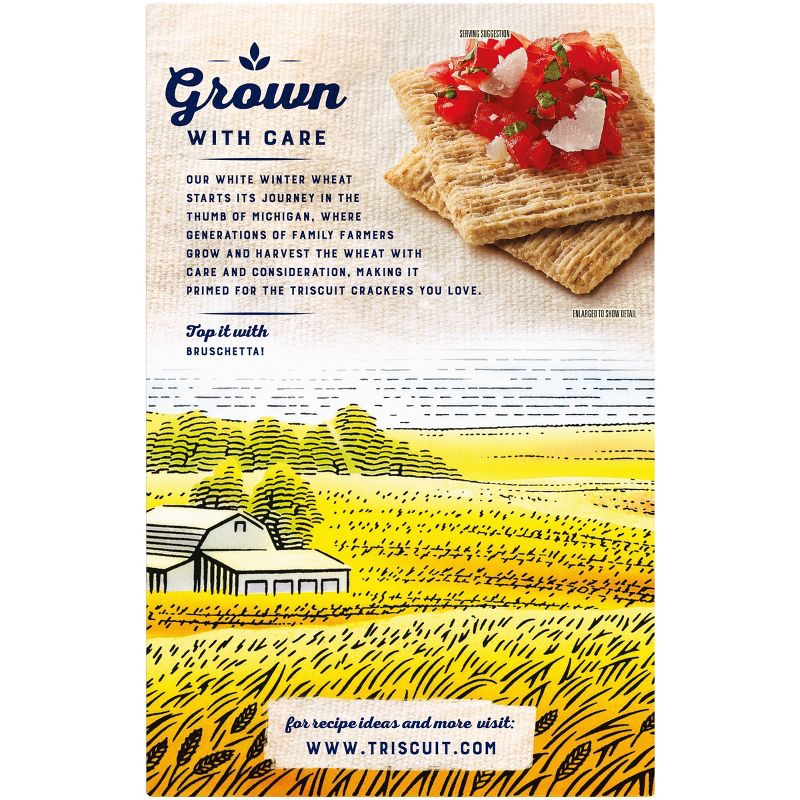 Triscuit Roasted Garlic Crackers - 8.5oz