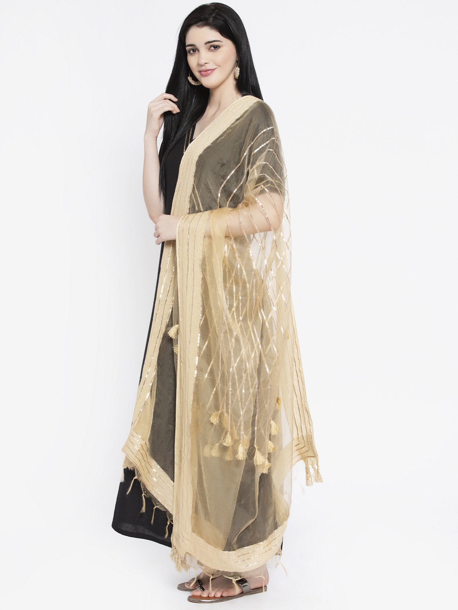 studiorasa Beige Embellished Organza Dupatta