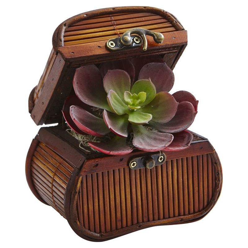 Echeveria in Chest 3pk - Nearly Natural