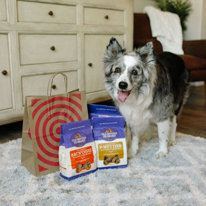 Old Mother Hubbard Classic Crunchy Bac'N'Cheez Biscuits Small Oven Baked Dog Treats - 20oz