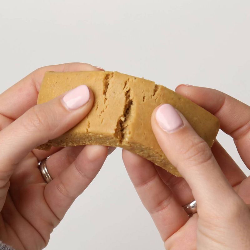 Perfect Bar Salted Caramel Cashew - 2.2oz