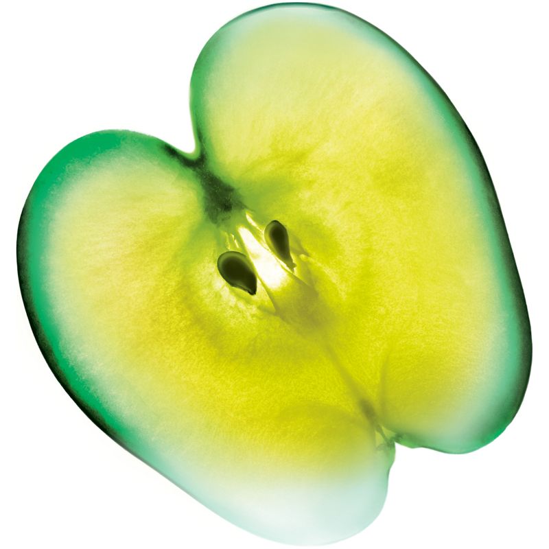 Garnier Fructis Active Fruit Protein Grow Strong Fortifying Hair Shampoo - 33.8 fl oz