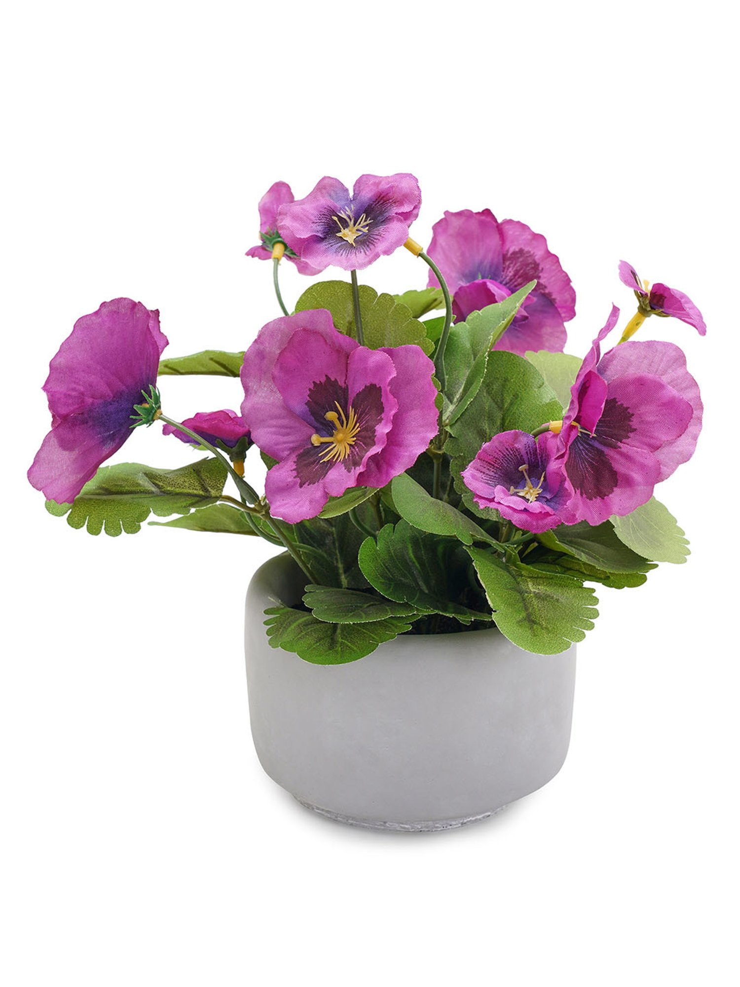 Pure Home and Living Purple Plastic Potted Plants