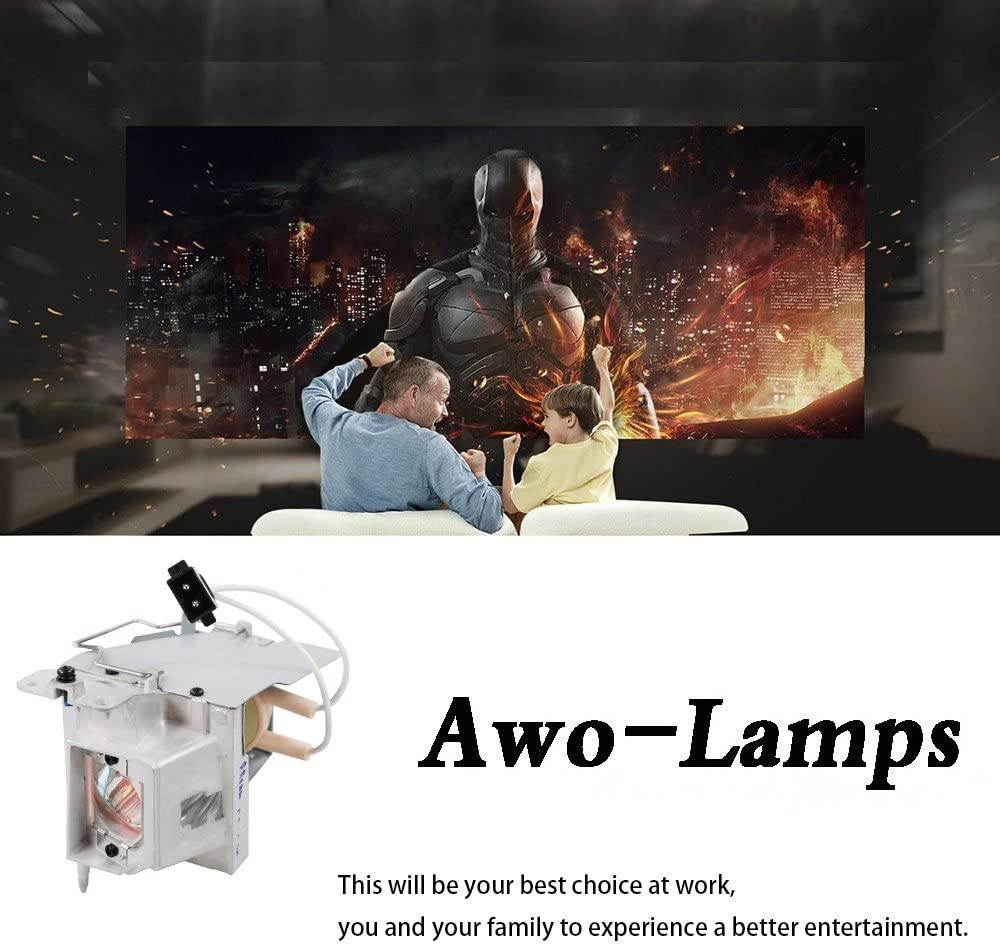 AWO Original Projector Lamp Bulb SP.8VH01GC01 / BL-FP190D / BL-FP190E with Housing Fit for OPTOMA HD141X EH200St GT1080 HD26 S316 X316 W316 DX346 DH1009 GT1080darbee HD29darbee Lamp Bulb Replacement