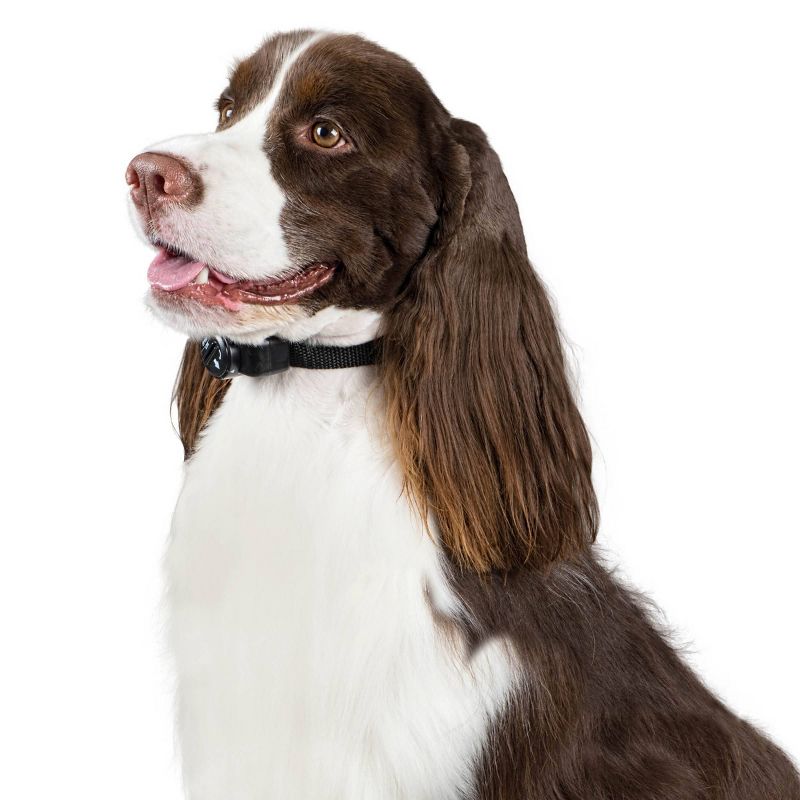 Premier Pet Dog and Cat Pet In-Ground Fence - Black